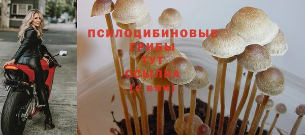 твердый Балабаново